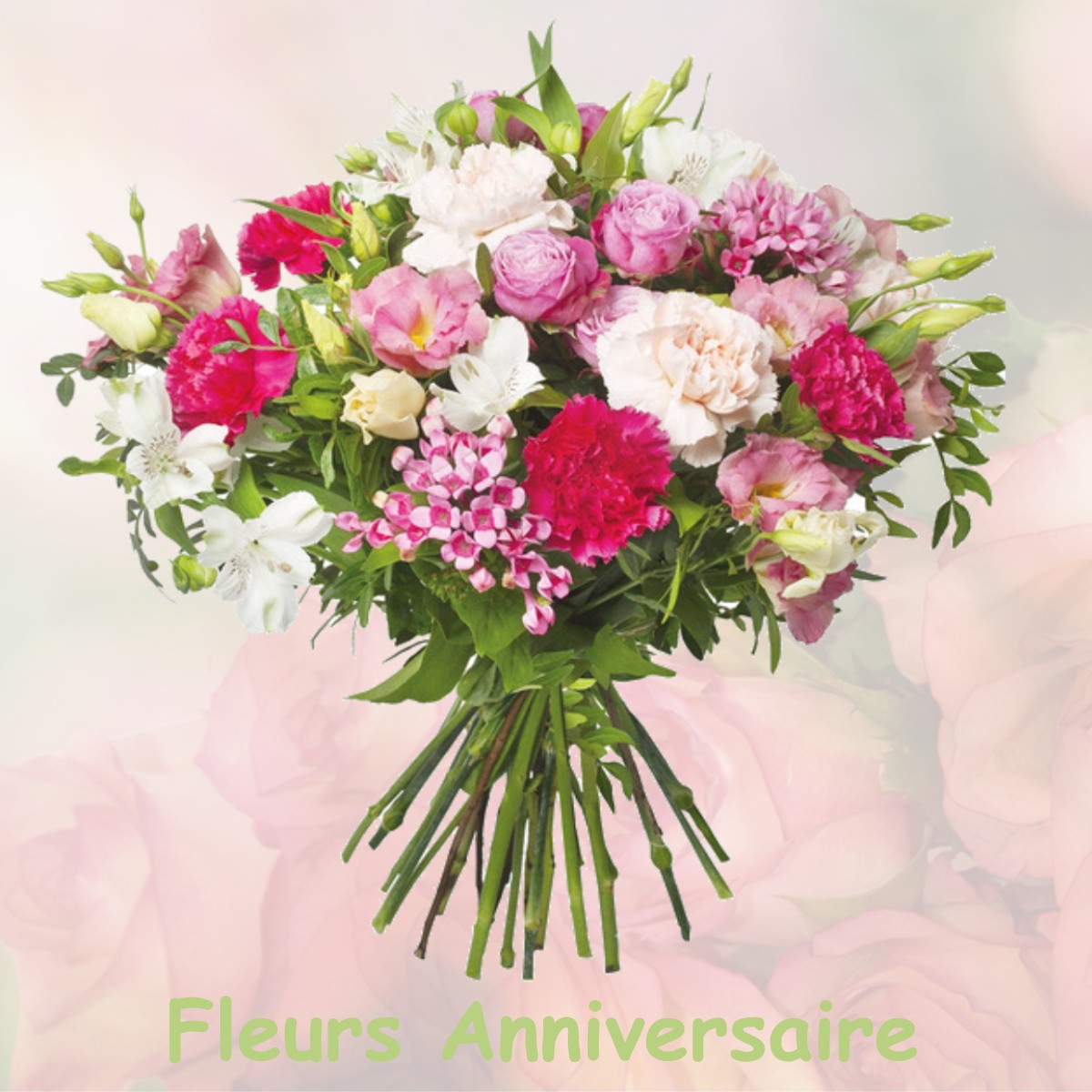 fleurs anniversaire LE-VERNEIL